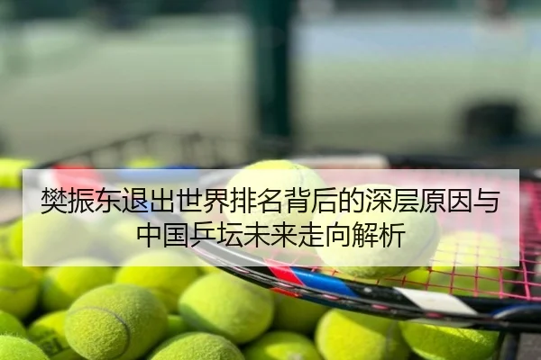 樊振东退出世界排名背后的深层原因与中国乒坛未来走向解析