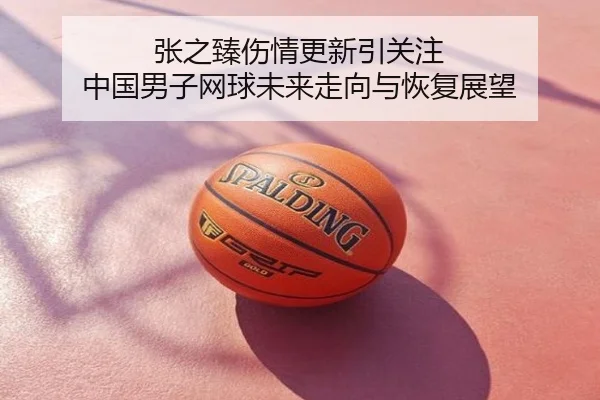 张之臻伤情更新引关注 中国男子网球未来走向与恢复展望