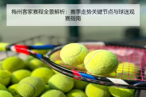 梅州客家赛程全景解析：赛季走势关键节点与球迷观赛指南