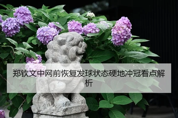 郑钦文中网前恢复发球状态硬地冲冠看点解析